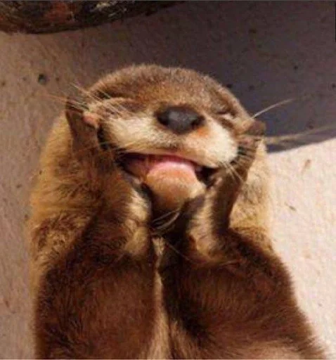 Видринктон ::