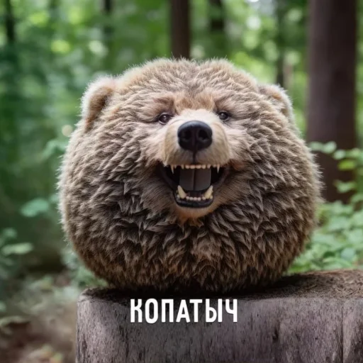 СмешарикиIRL