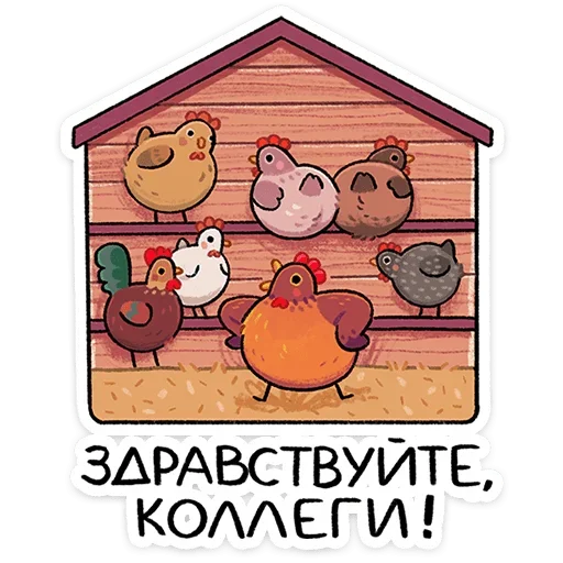 Маргаритка |