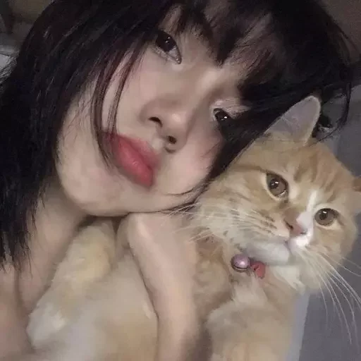 как же я лбблю кореяночек