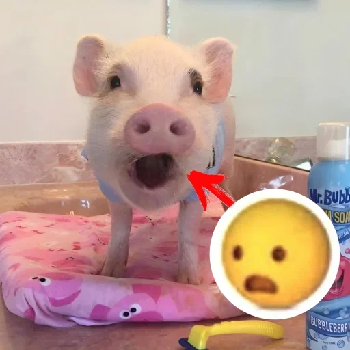 охрюнительно! ➝