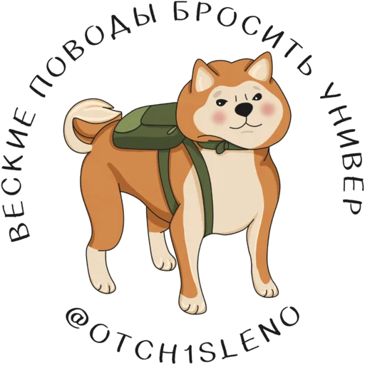 Веские поводов бросить универ -