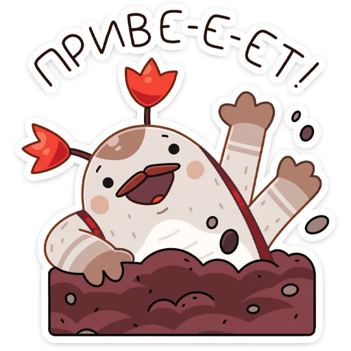 Жук Рубус ::