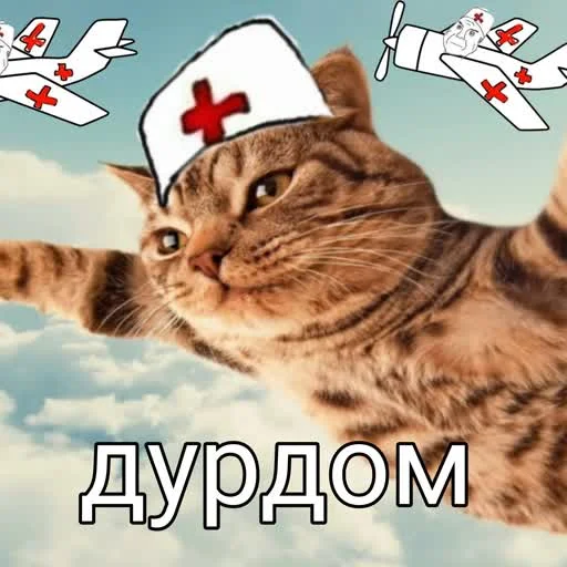 учеба