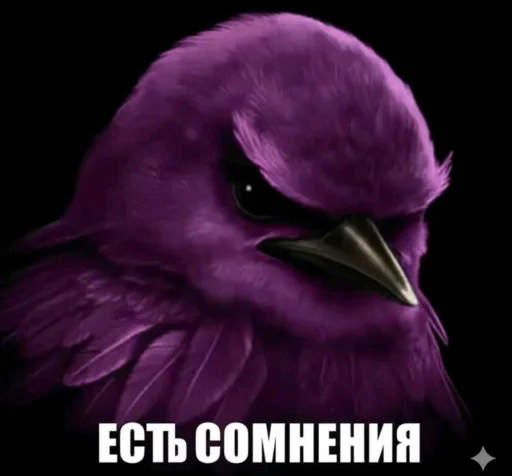 Вряд-ли🐦