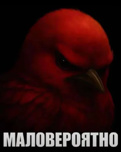 Тгк:XBOCTNKN_dogs