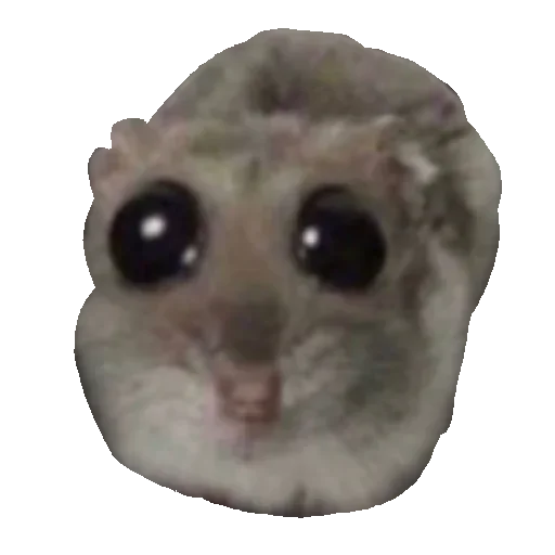 Грустный хомяк •