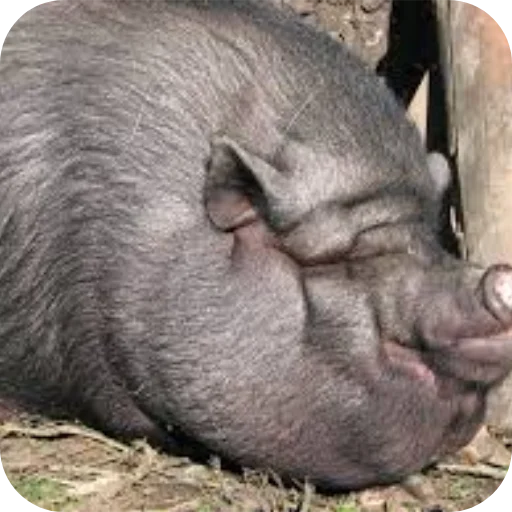 Легенда тут срала