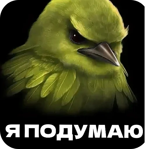 Птички от флоки