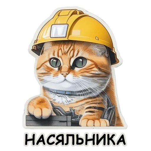 Рабочие коты