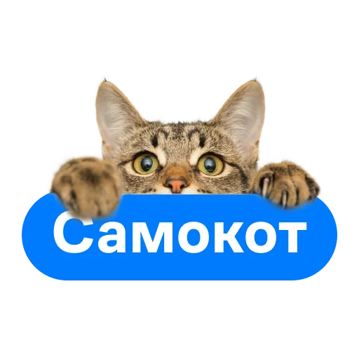 Samokot