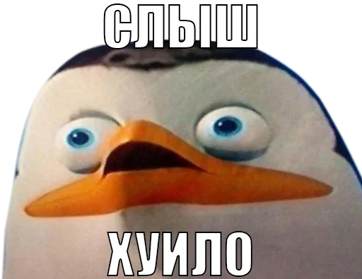 Для отбитых на всю голову