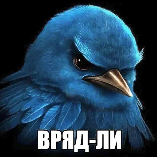 Вряд ли