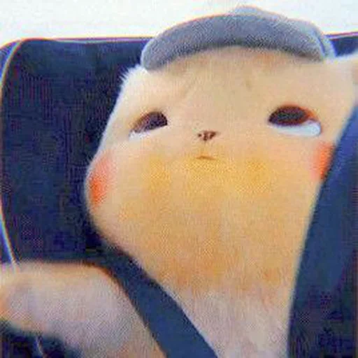 p,pwikka pwiika ! 🥺