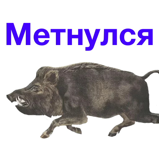 Метнулся