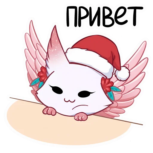 🤶🏻♡ зимняя минто