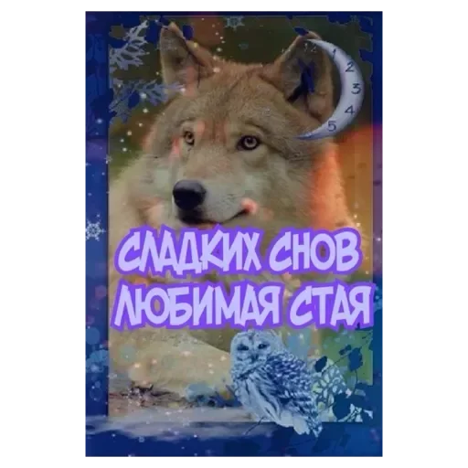 Больше стиков тут: