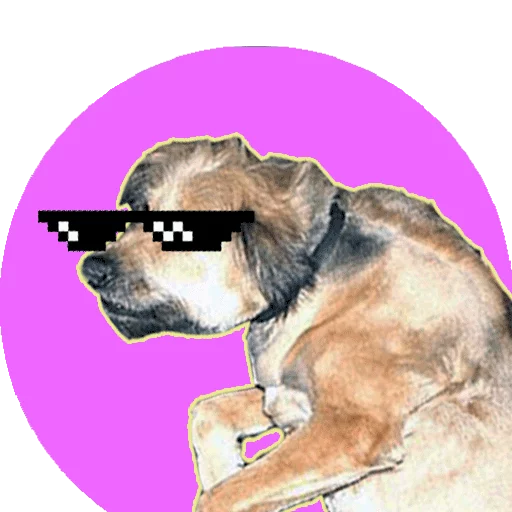 Allforgiving Pavlov Doge