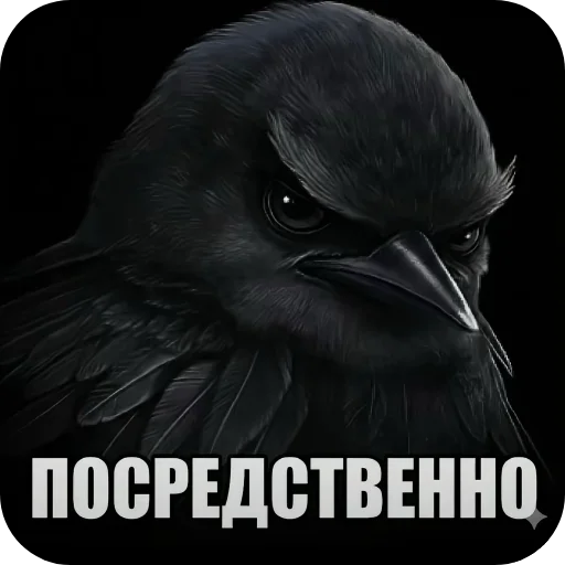 птички (lerixxqwz)