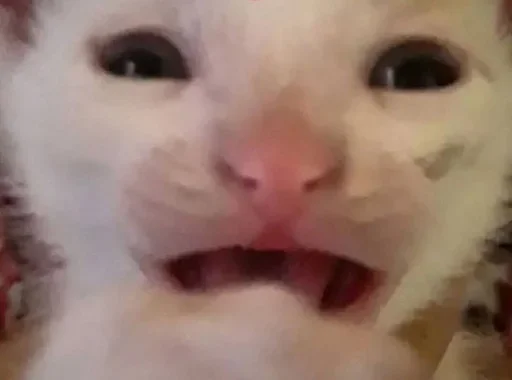 Больше стиков тут: