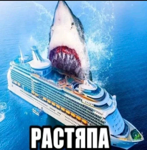 Акулы и другие