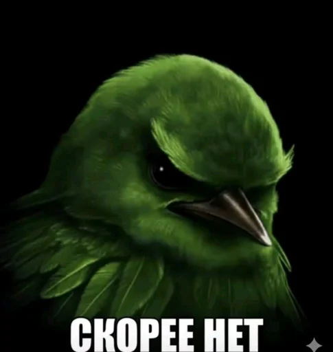 Случайность