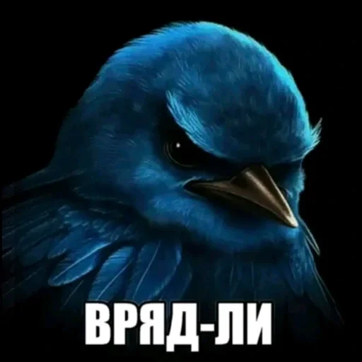 вряд ли птички