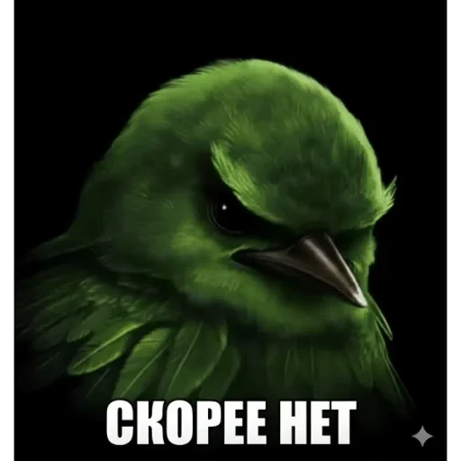 больше стикеров тут: