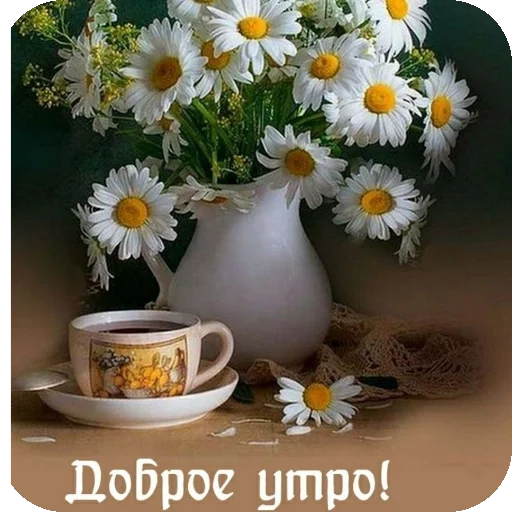 Пожелания ~Разное