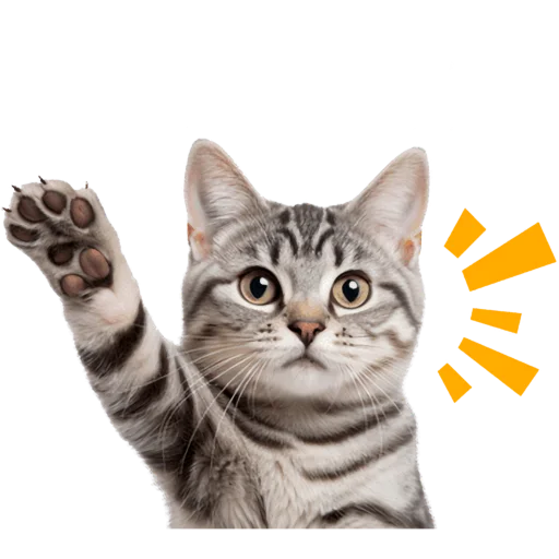 Кошачий отряд @Nyasticks2