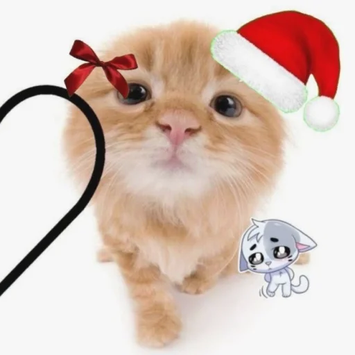 нг котики♡ @TgEmodziBot