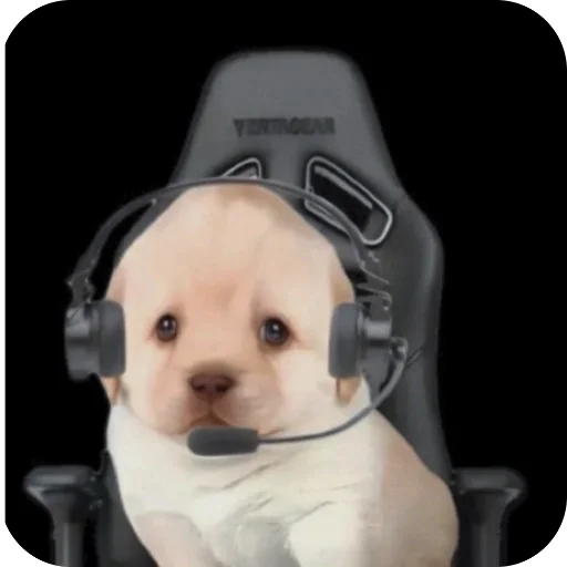 Баба буди баба бида будай by @badabydibadabidabydai