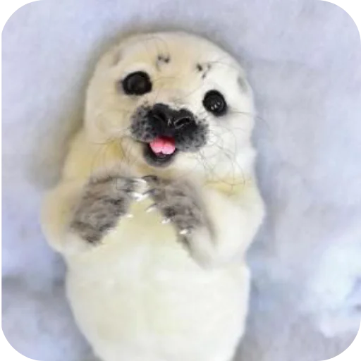 Тюленьчики