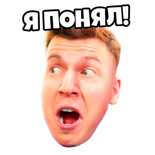 ВЛАДУС Роблокс @vladus009