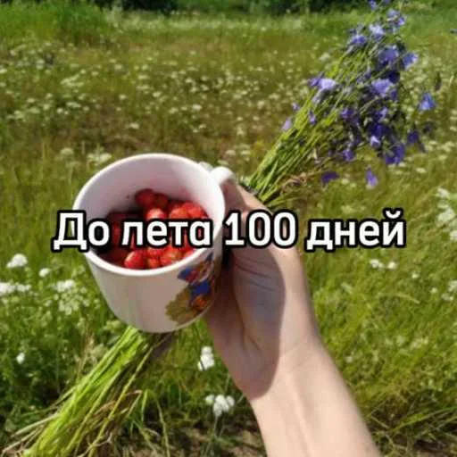 До лета осталось... @MoiStikiBot