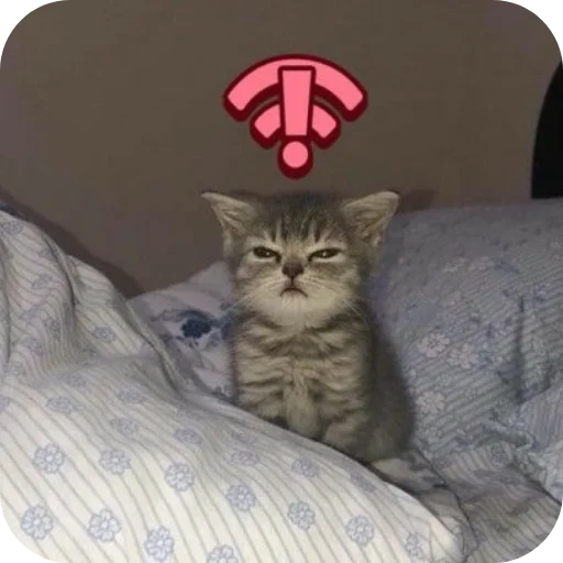 Channel with memes:@memepicstg