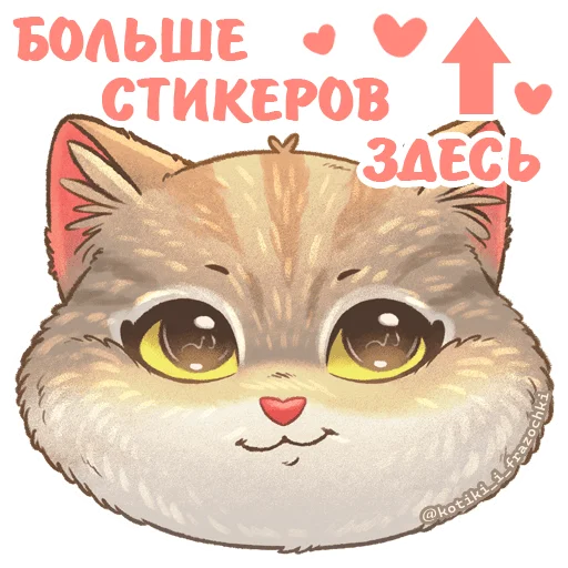 @kotiki_i_frazochki Бублик