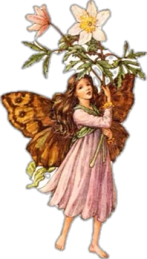 spring fairies by @suchanicelife