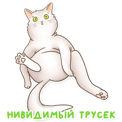 Коты в трусек @trusek