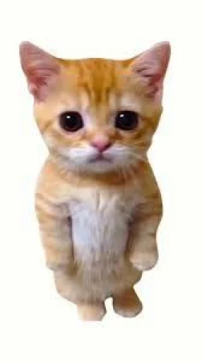 ♡✪El Gato!!✪♡ from @Kitten_Game_CROMU @MoiStikiBot