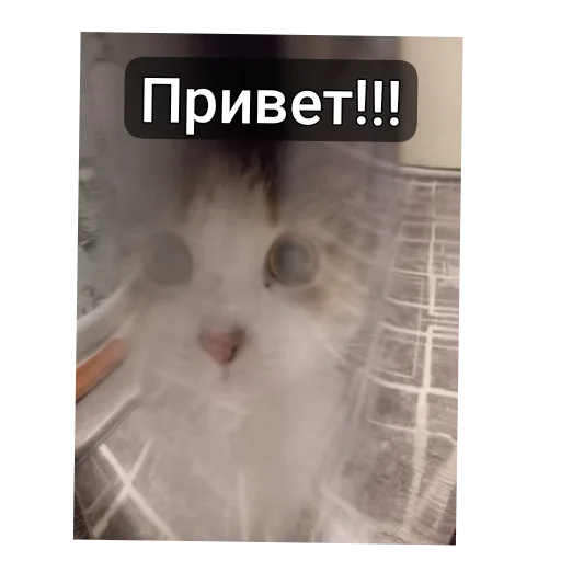 Стикеры милки