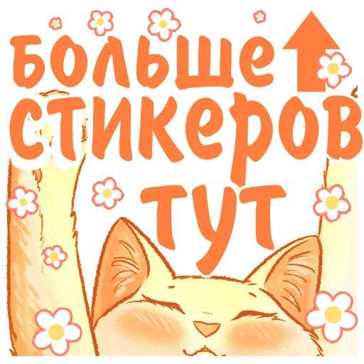 @kotiki_i_frazochki летние