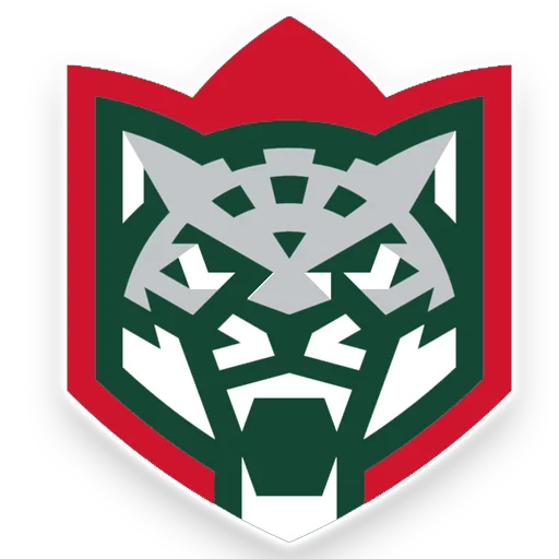 Наш Ак барс