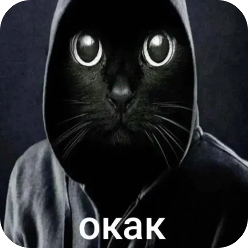 окаки — @ryzenkiyup