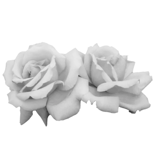 ˏ࣪ 𓆩 𝒍𝒊𝒈𝒉𝒕 𝒑𝒂𝒓𝒂𝒅𝒊𝒔𝒆 𓆪 ࣪ˎ  @Nelvixxo