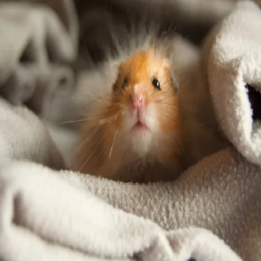 Больше стиков тут @stickerock