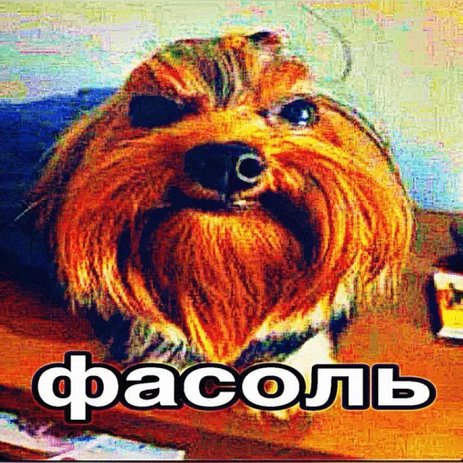 шик. @MoiStikiBot