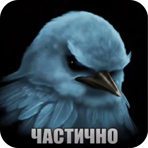 Врядли 🐦(Александр C4)
