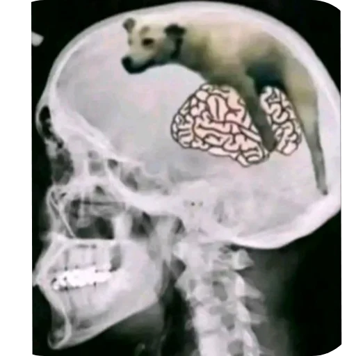 Для всех случаях в жизни