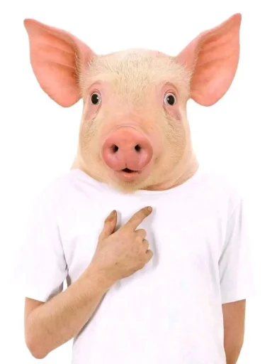 Pork